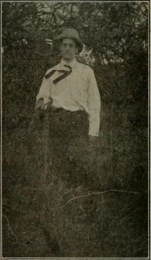 An illustration from Building and industrial news, 1914, leaf 530