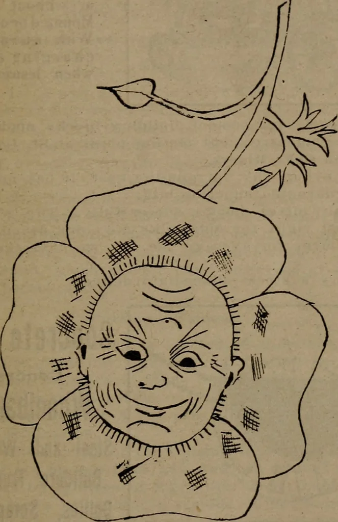 An illustration from The building law and the plumbing law of the City and County of San Francisco : the State Tenement House Act and Ordinance no. 746, Regulating the construction of buildings used as automobile garages, 1910, 1910, leaf 38