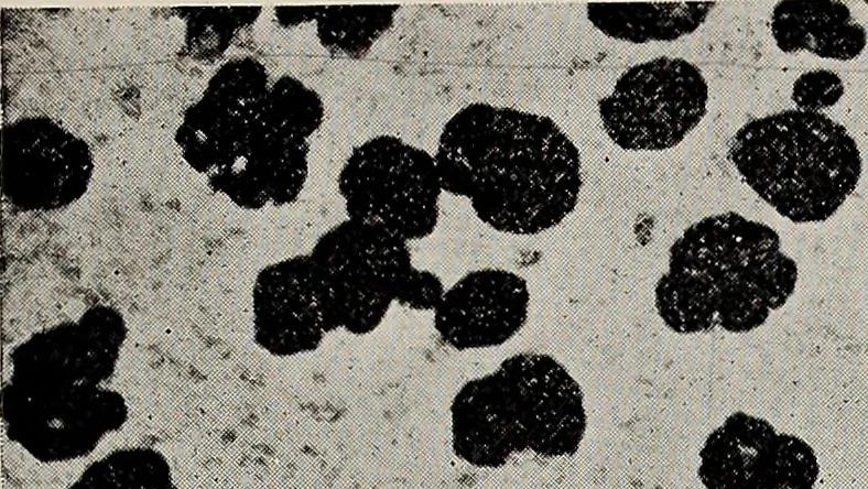 An illustration from The building and ornamental stones of North Carolina, 1906, leaf 118