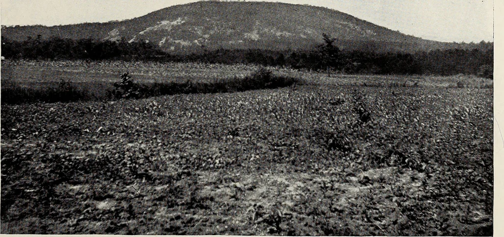 An illustration from The building and ornamental stones of North Carolina, 1906, leaf 228