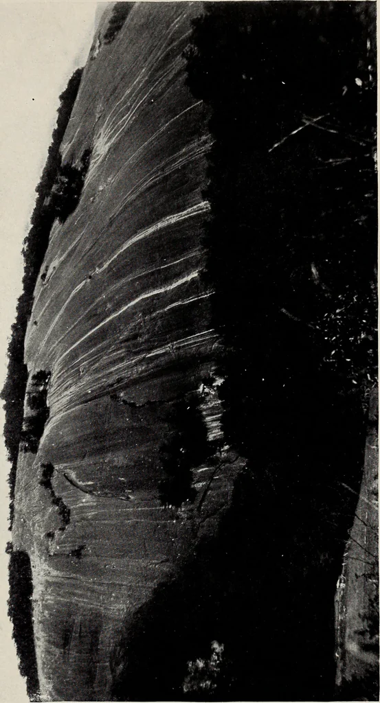 An illustration from The building and ornamental stones of North Carolina, 1906, leaf 244