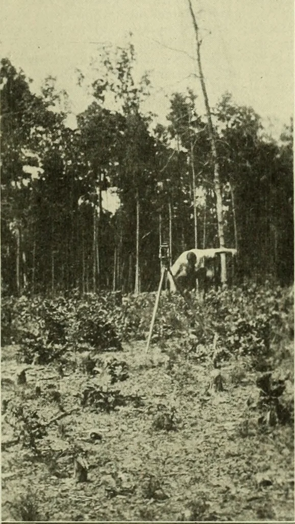 An illustration from Buildings, 1922, leaf 1106
