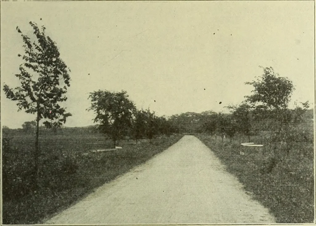 An illustration from Buildings, 1922, leaf 172