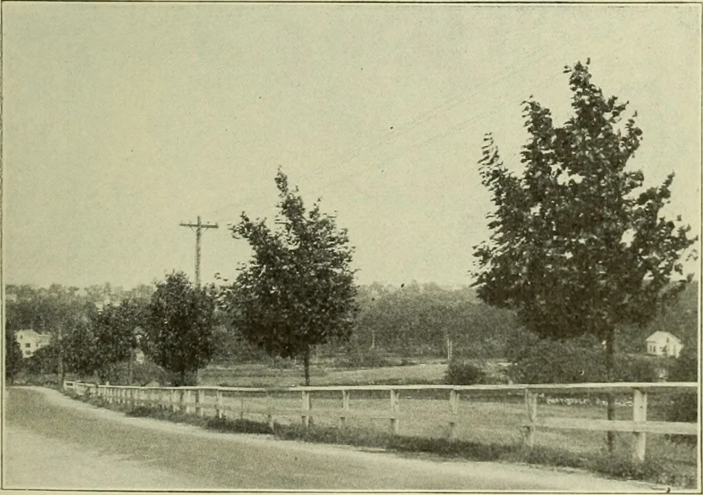 An illustration from Buildings, 1922, leaf 172