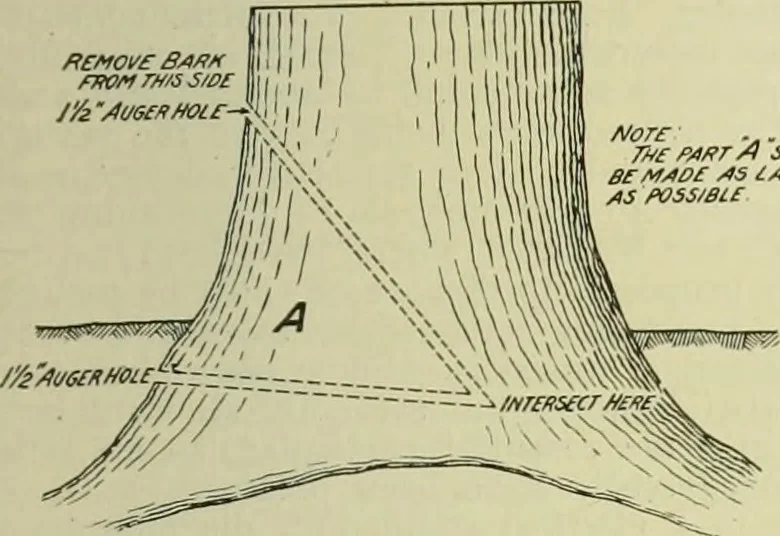 An illustration from Buildings, 1922, leaf 268