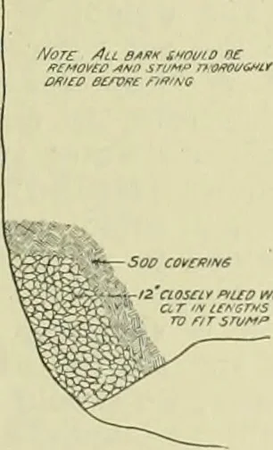 An illustration from Buildings, 1922, leaf 268