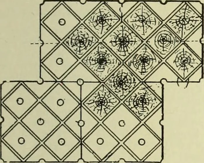 An illustration from Buildings, 1922, leaf 274