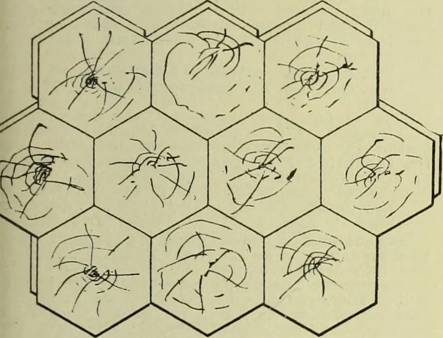 An illustration from Buildings, 1922, leaf 338