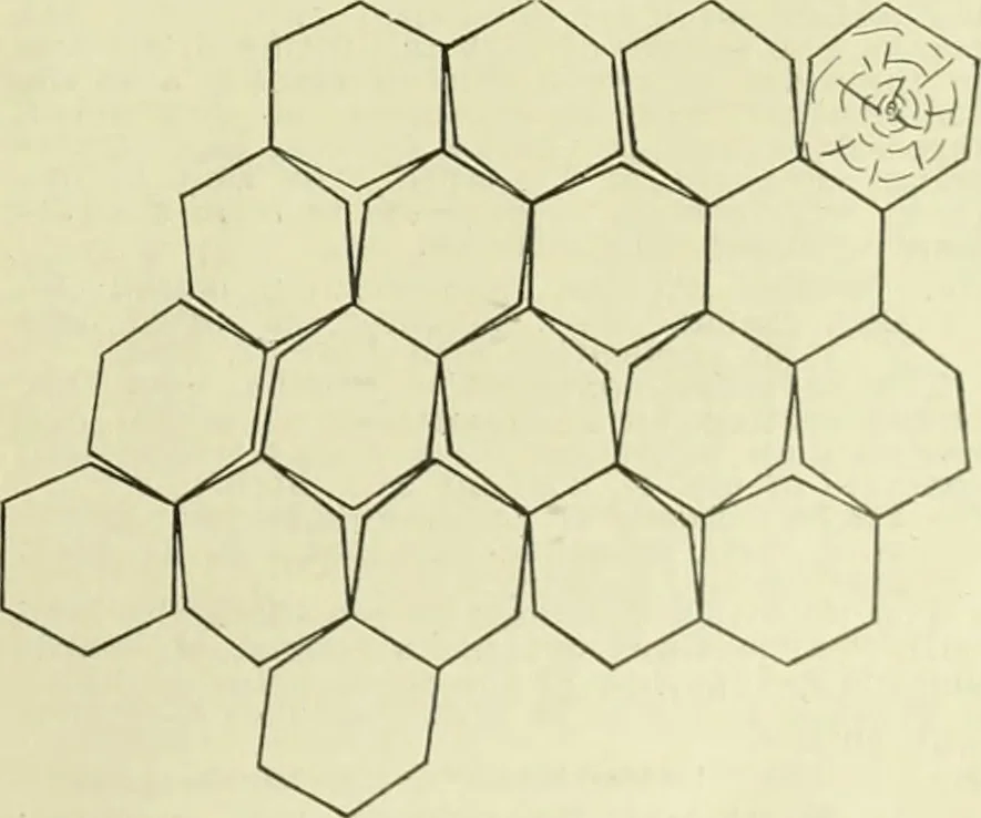 An illustration from Buildings, 1922, leaf 446