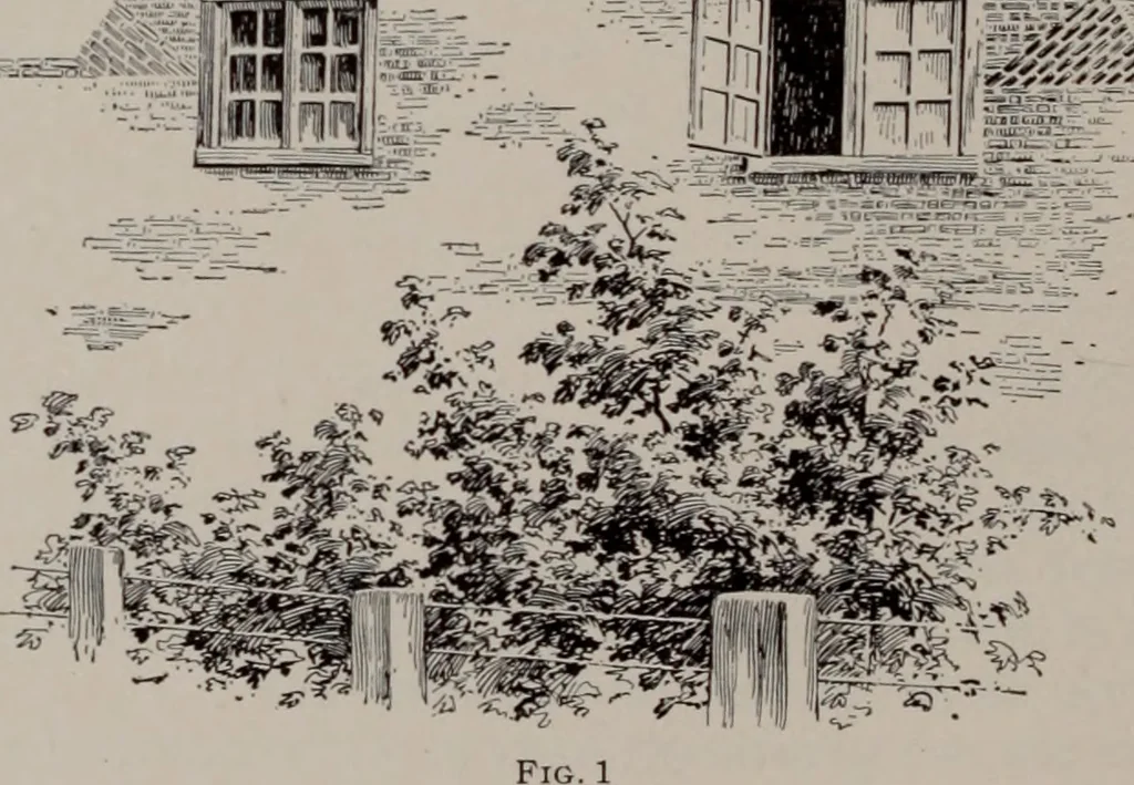 An illustration from Building stone, lathing, plastering, and tiling, common brickwork, ornamental brickwork and terra cotta : lighting fixtures, use and design of lighting fixtures, architectural design, 1909, leaf 211