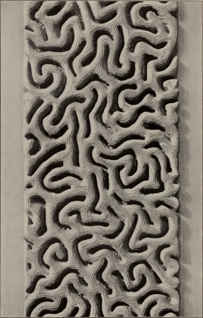 An illustration from Building stone, lathing, plastering, and tiling, common brickwork, ornamental brickwork and terra cotta : lighting fixtures, use and design of lighting fixtures, architectural design, 1909, leaf 37