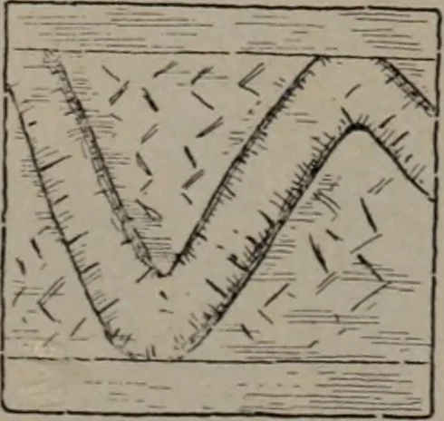 An illustration from Building stone, lathing, plastering, and tiling, common brickwork, ornamental brickwork and terra cotta : lighting fixtures, use and design of lighting fixtures, architectural design, 1909, leaf 462