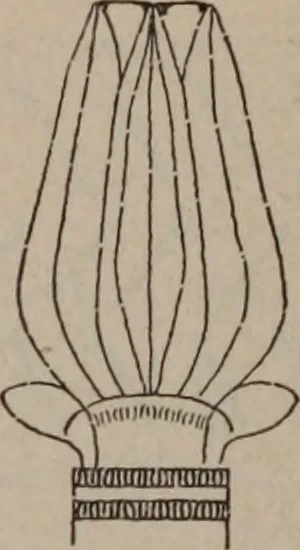 An illustration from Building stone, lathing, plastering, and tiling, common brickwork, ornamental brickwork and terra cotta : lighting fixtures, use and design of lighting fixtures, architectural design, 1909, leaf 463