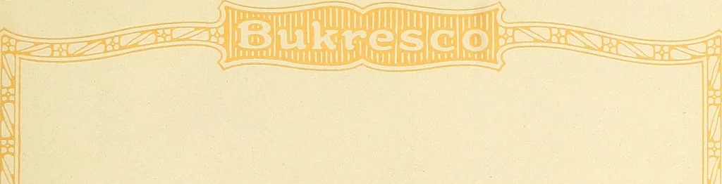 An illustration from Bukresco college annual guide;, 1922, leaf 10