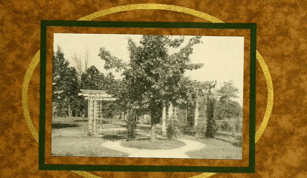 An illustration from Bukresco college annual guide;, 1922, leaf 14