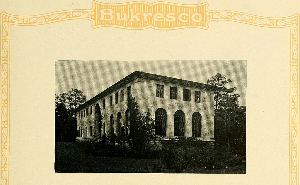 An illustration from Bukresco college annual guide;, 1922, leaf 20