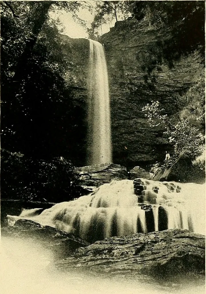 An illustration from Bukresco college annual guide;, 1922, leaf 56