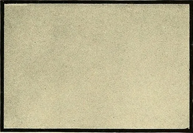 An illustration from Bukresco college annual guide;, 1922, leaf 68
