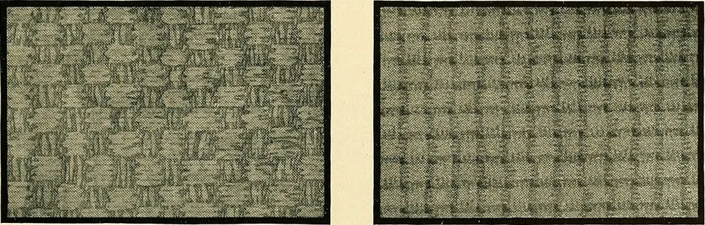 An illustration from Bukresco college annual guide;, 1922, leaf 68