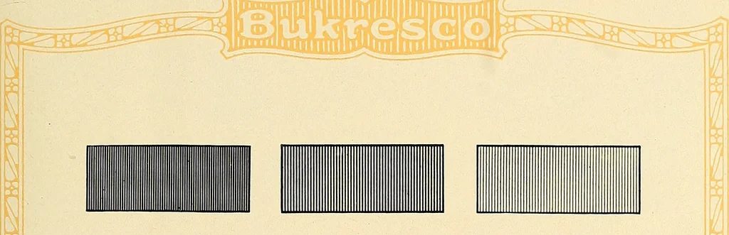An illustration from Bukresco college annual guide;, 1922, leaf 76