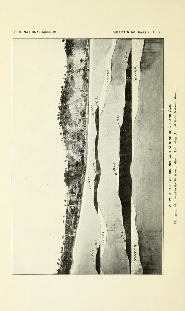 An illustration from Bulletin - United States National Museum, 1877, leaf 210