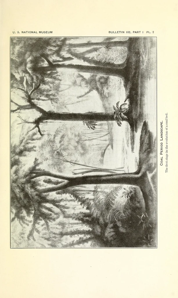An illustration from Bulletin - United States National Museum, 1877, leaf 23