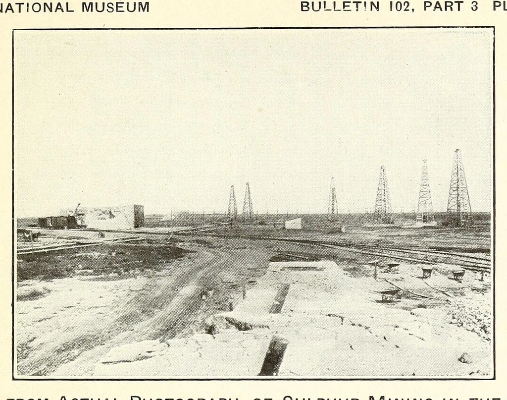An illustration from Bulletin - United States National Museum, 1877, leaf 97