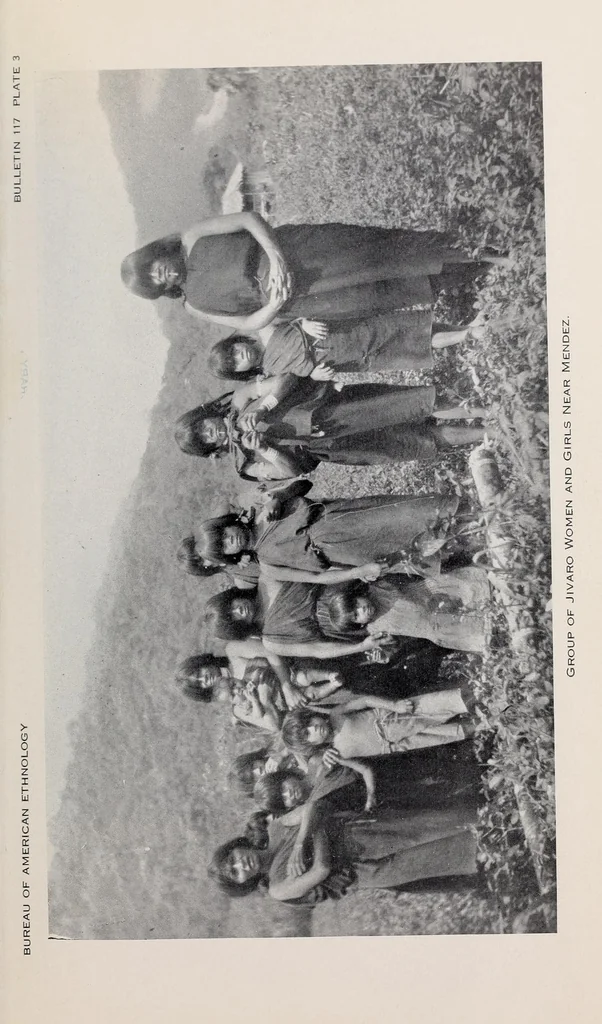 An illustration from Bulletin, 1901, leaf 175