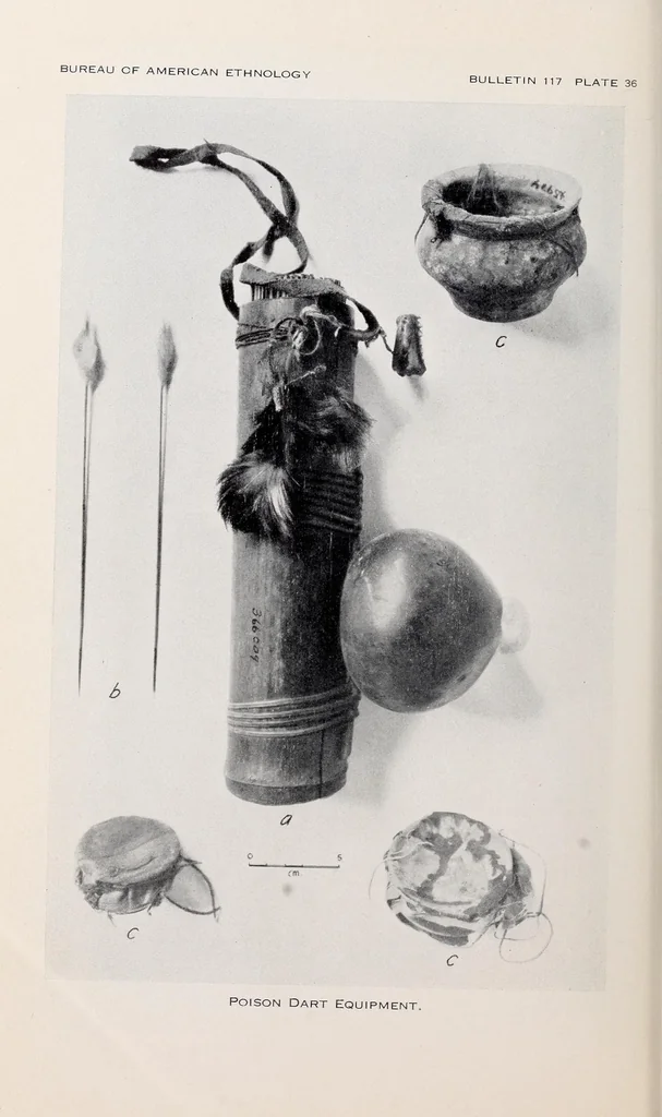 An illustration from Bulletin, 1901, leaf 208
