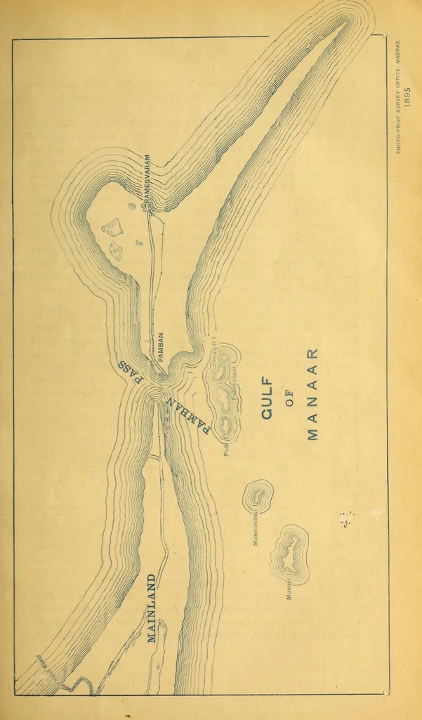 An illustration from Bulletin, 1894, leaf 127