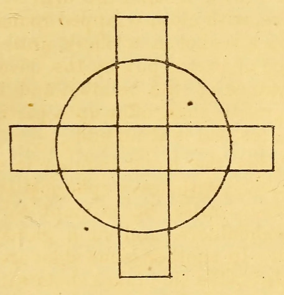 An illustration from Bulletin, 1894, leaf 293