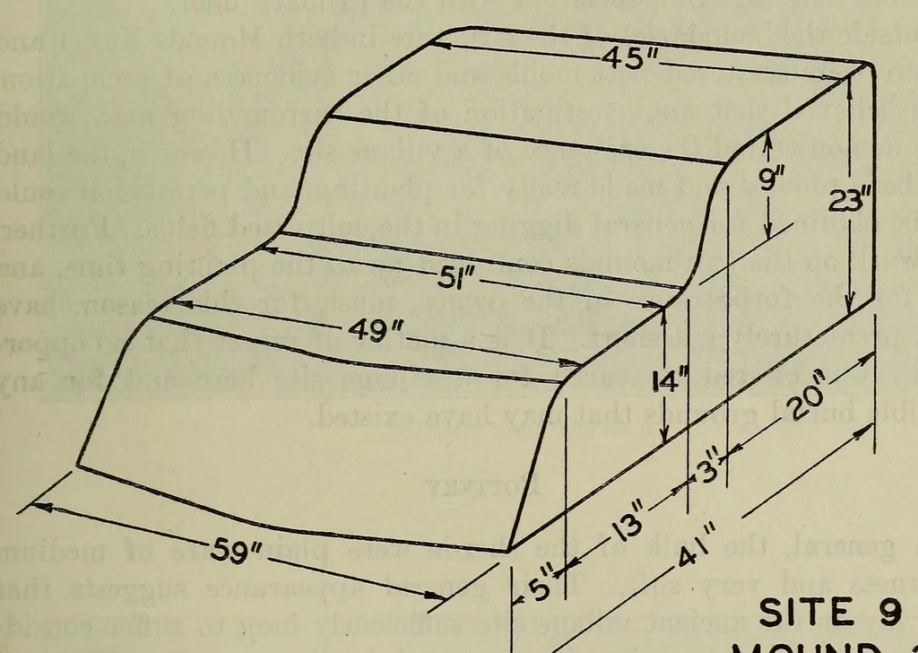 An illustration from Bulletin, 1901, leaf 145