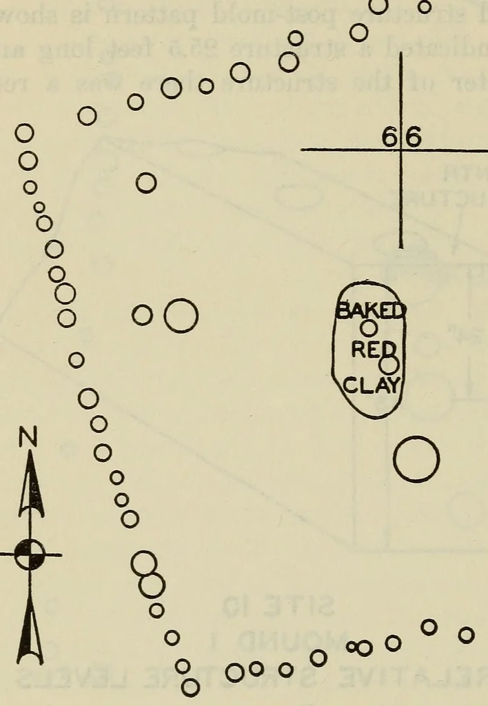 An illustration from Bulletin, 1901, leaf 176
