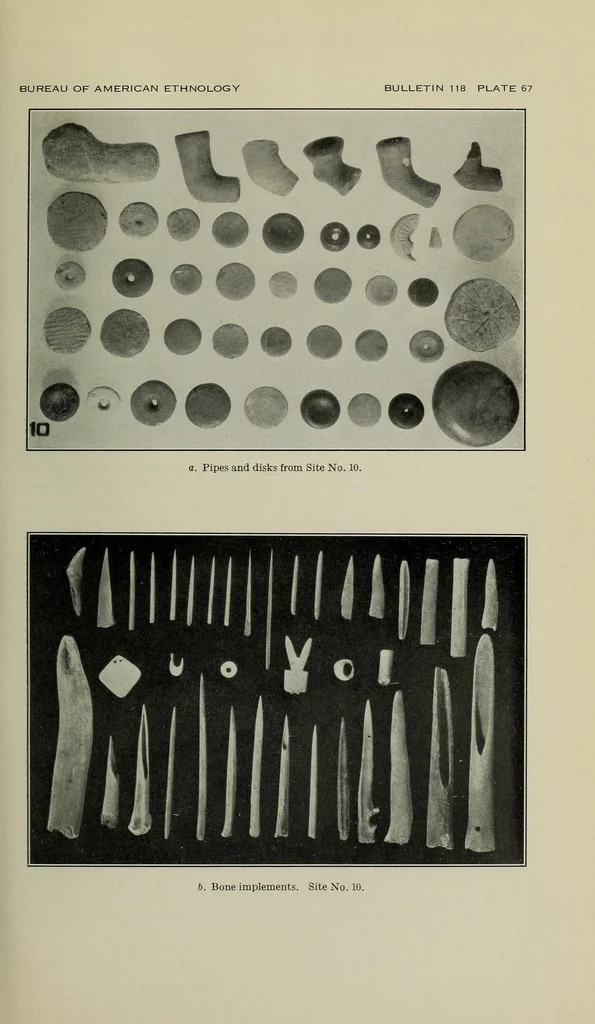 An illustration from Bulletin, 1901, leaf 215