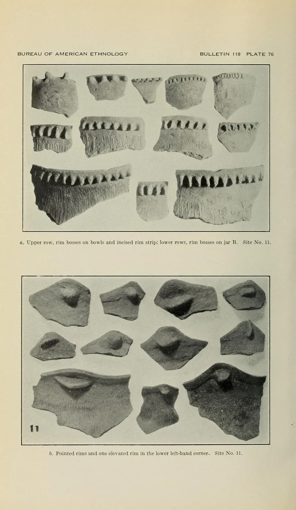 An illustration from Bulletin, 1901, leaf 236