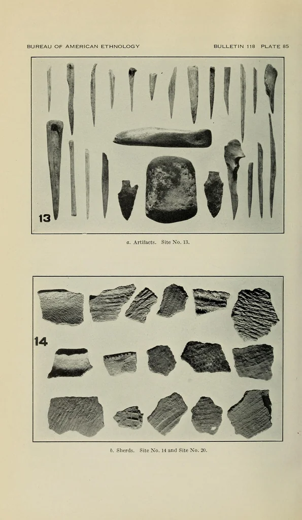 An illustration from Bulletin, 1901, leaf 250