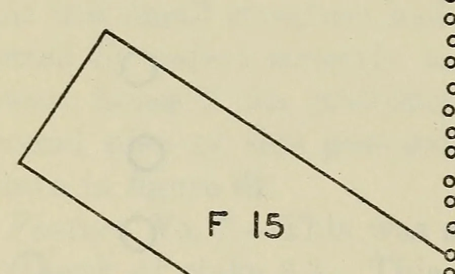 An illustration from Bulletin, 1901, leaf 282