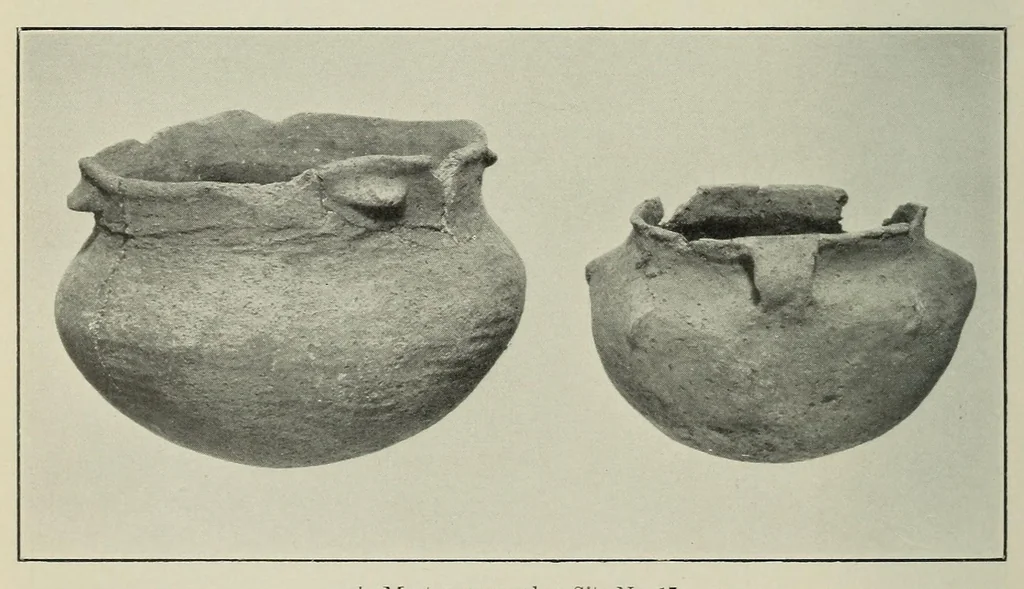 An illustration from Bulletin, 1901, leaf 296