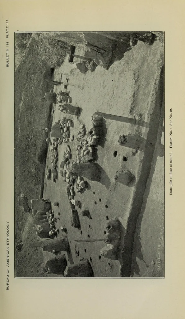 An illustration from Bulletin, 1901, leaf 325