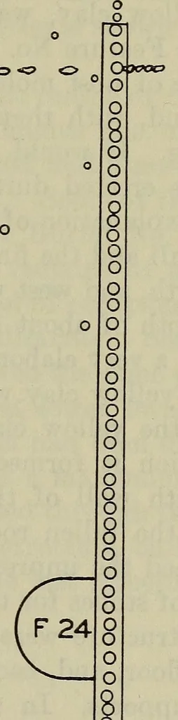 An illustration from Bulletin, 1901, leaf 87