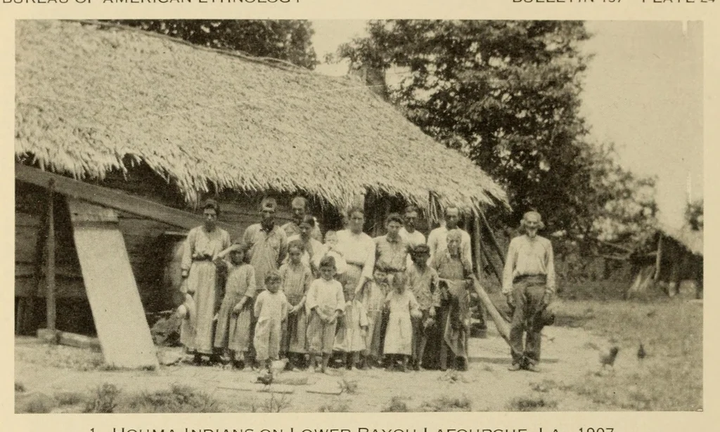 An illustration from Bulletin, 1901, leaf 1024