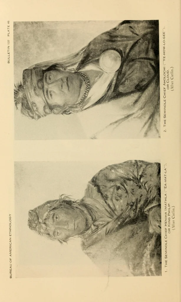 An illustration from Bulletin, 1901, leaf 1048