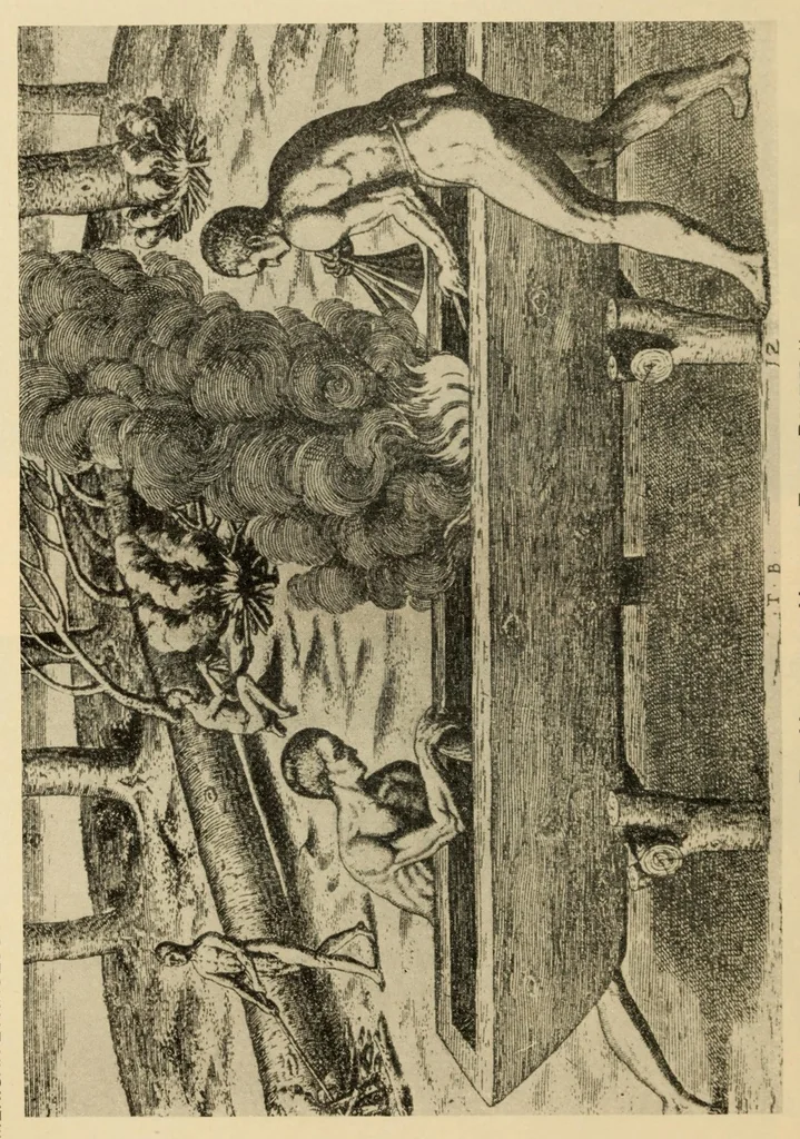 An illustration from Bulletin, 1901, leaf 1076
