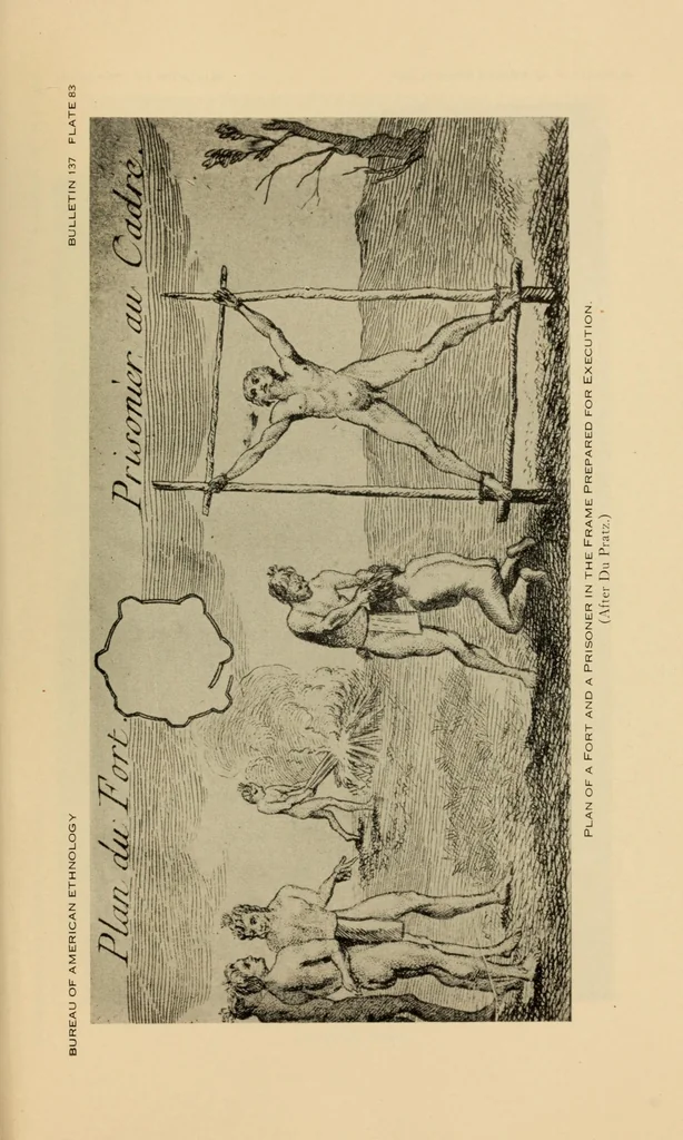 An illustration from Bulletin, 1901, leaf 1085