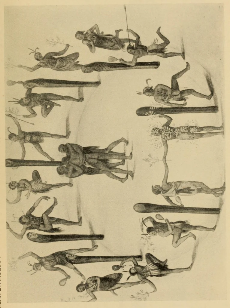 An illustration from Bulletin, 1901, leaf 1095