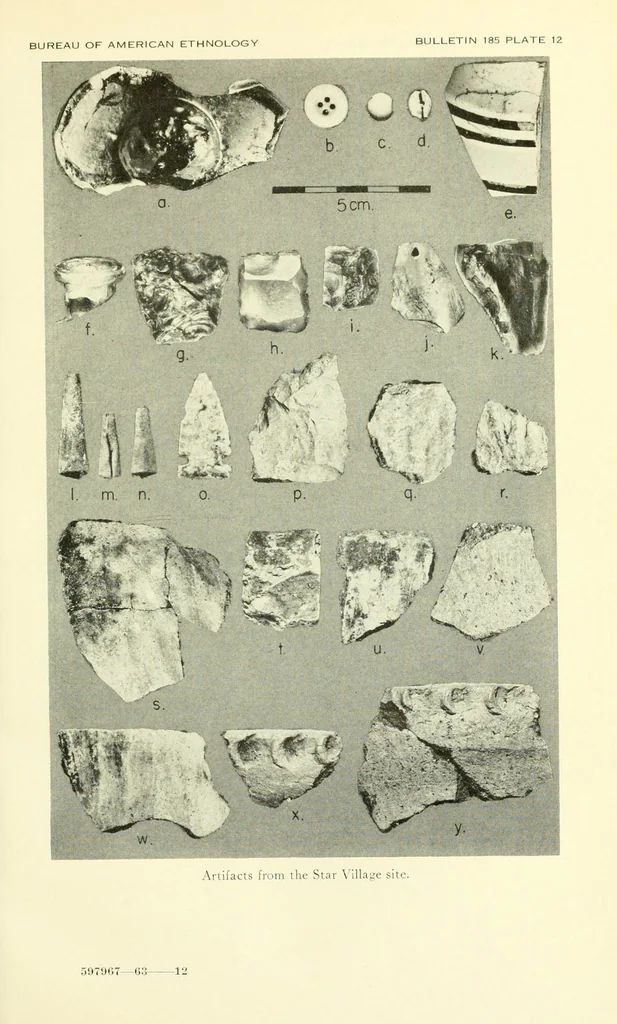 An illustration from Bulletin, 1901, leaf 159
