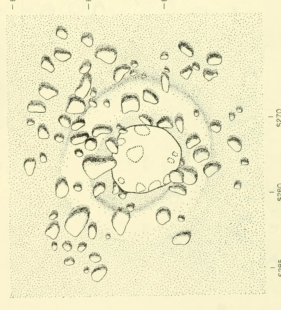 An illustration from Bulletin, 1901, leaf 290