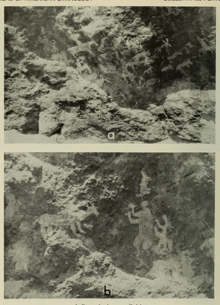 An illustration from Bulletin, 1901, leaf 190