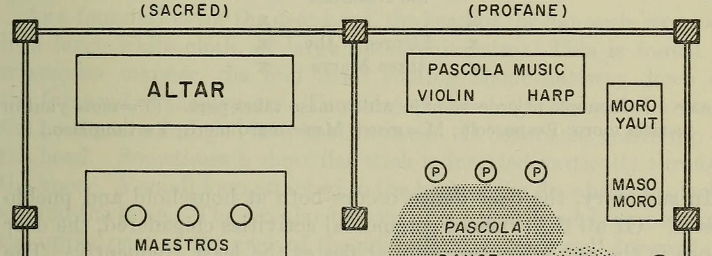 An illustration from Bulletin, 1901, leaf 213