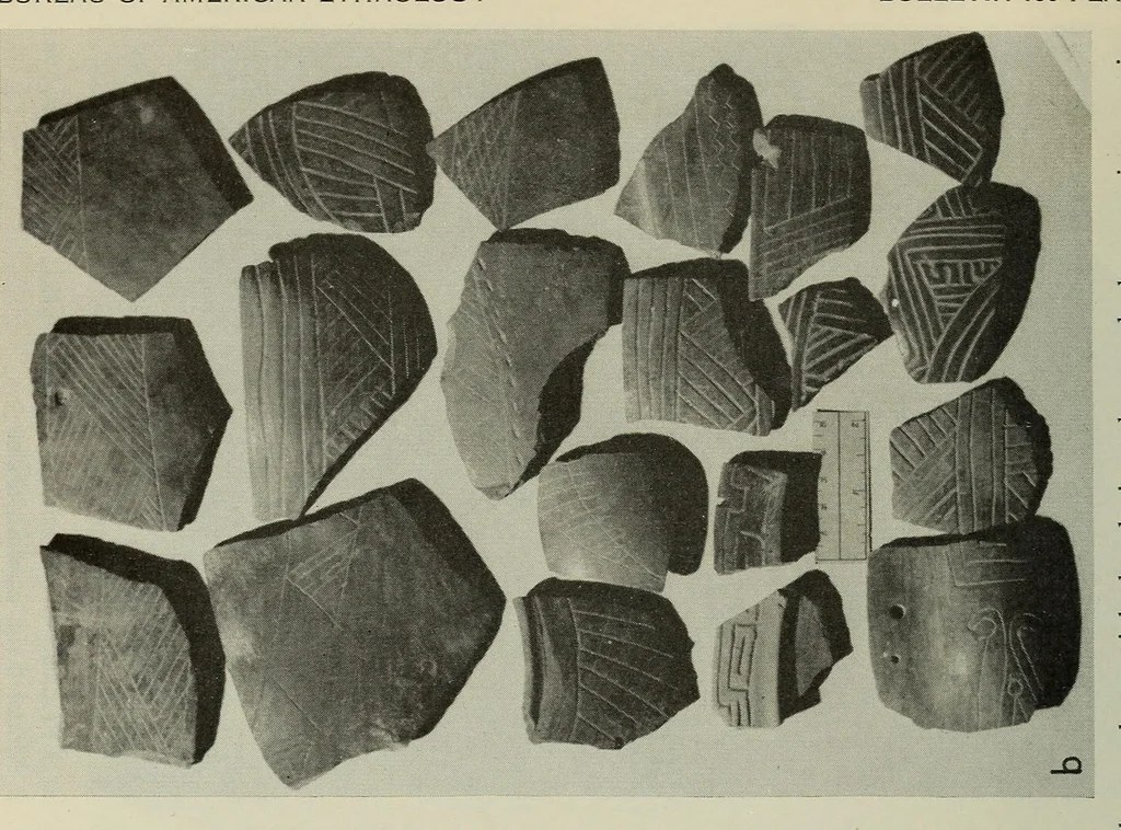 An illustration from Bulletin, 1901, leaf 42